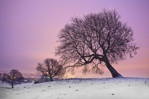 rombalds moor menston sunset december 27 2010 sm.jpg